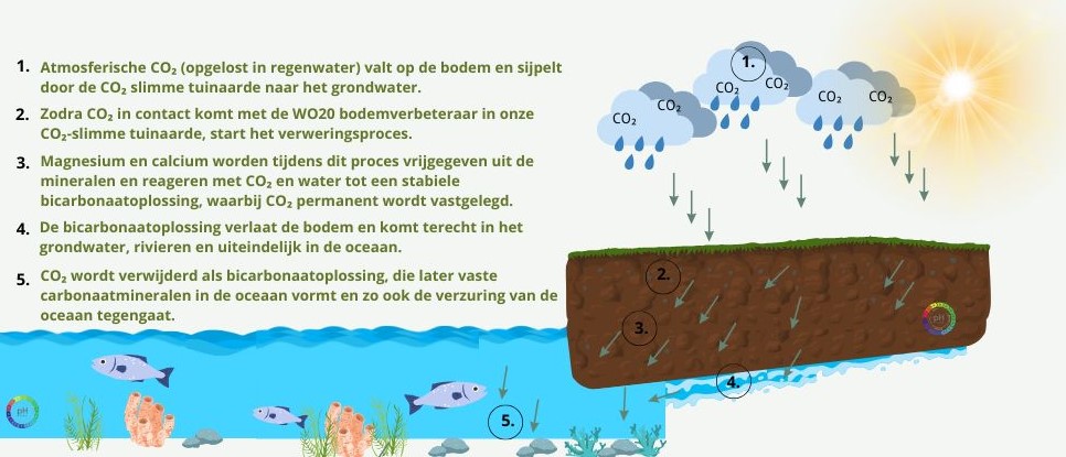 Afbeelding over het verweringsproces in van onze co2 slimme tuinaarde.